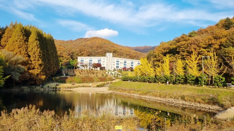 용인 단풍 명소 BEST 5｜아이와 가기 좋은 곳부터 숨은 단풍길까지