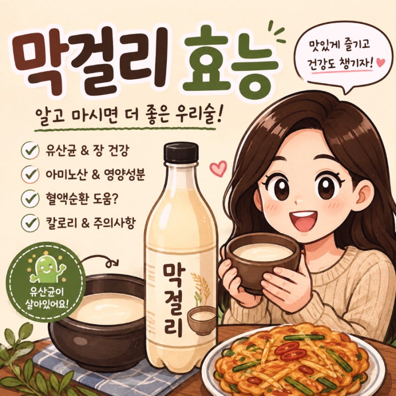 유산균부터 칼로리까지, 막걸리 효능 제대로 알고 마시는 방법
