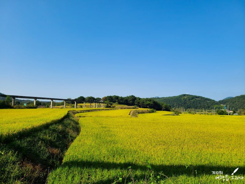 Best 4 Must-Visit Attractions and Travel Courses in Andong, Gyeongsangbuk-do