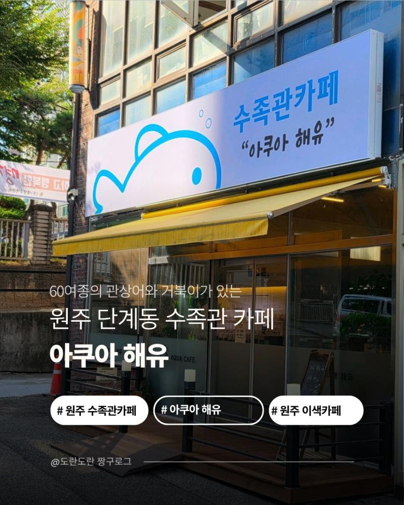 원주 이색카페 수족관 카페 아쿠아 해유 단계동 이색카페