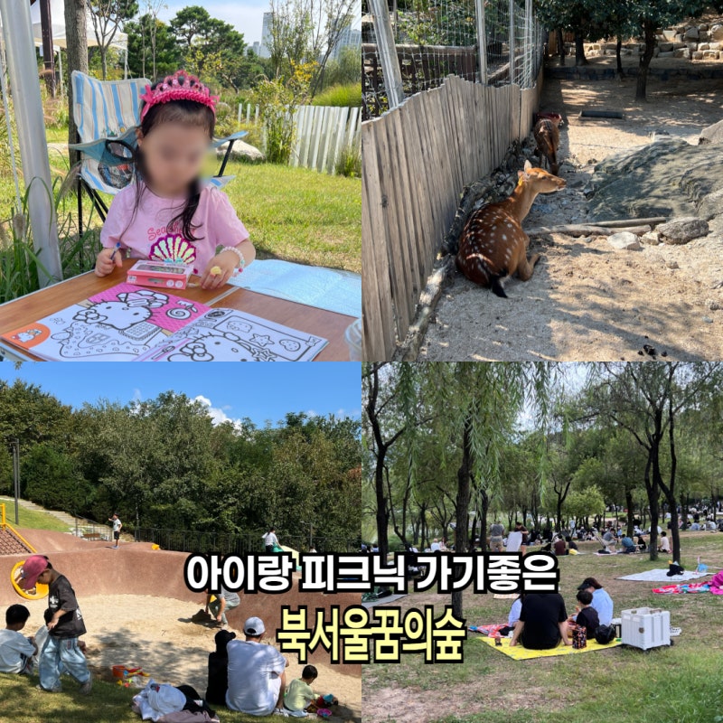 서울 북서울꿈의숲 피크닉 장소 주차 아이랑 주말나들이