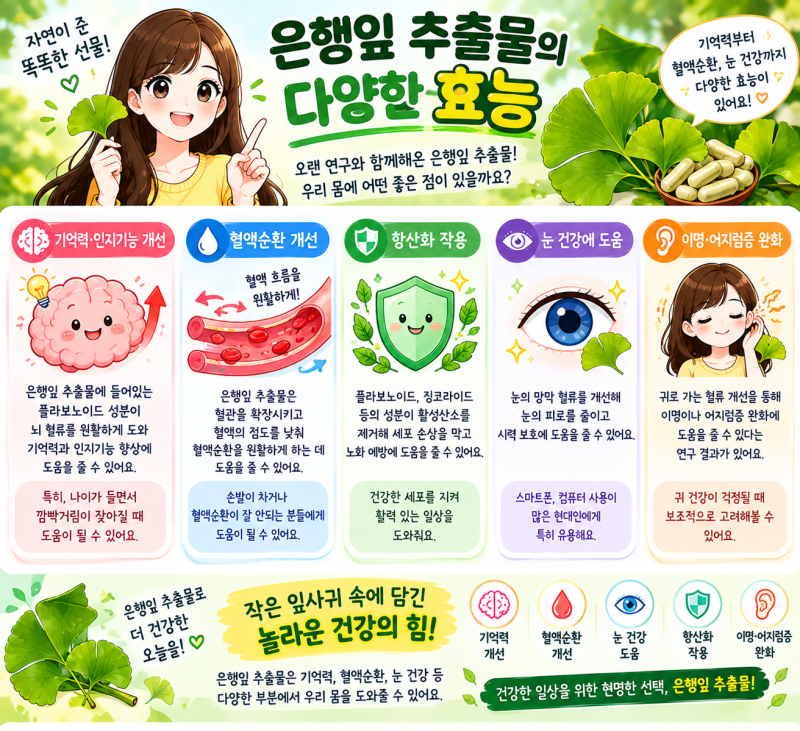 은행잎 추출물 효능과 부작용, 영양제로 먹기 전 꼭 알아야 할 것