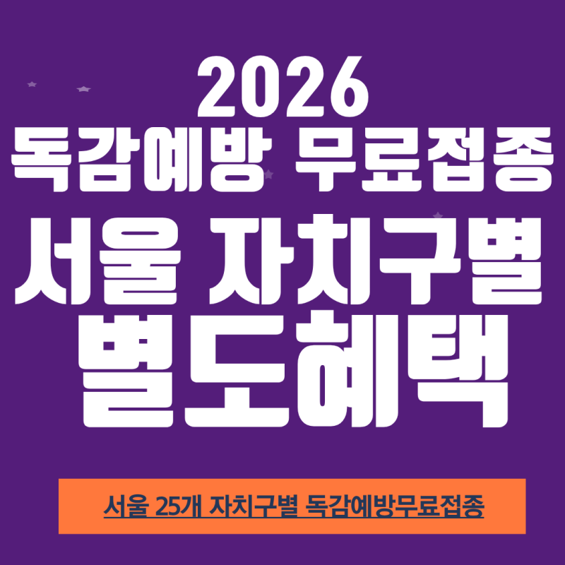 2026 무료독감예방접종 서울25개 자치구별 별도혜택