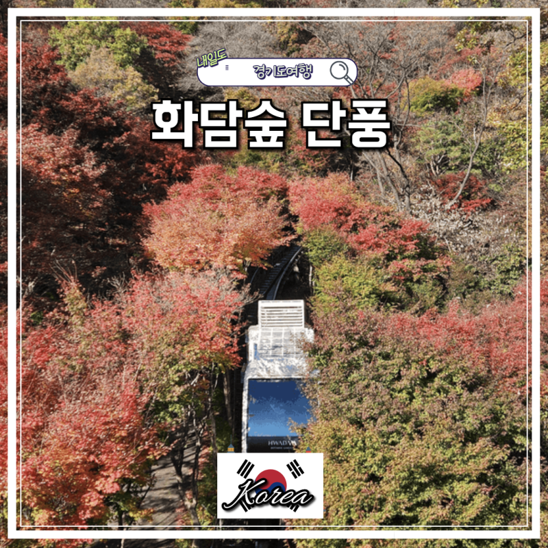 2026 화담숲 단풍 축제 예약 팁! 모노레일 가격 예매 성공 후기 & 코스 추천 ✨