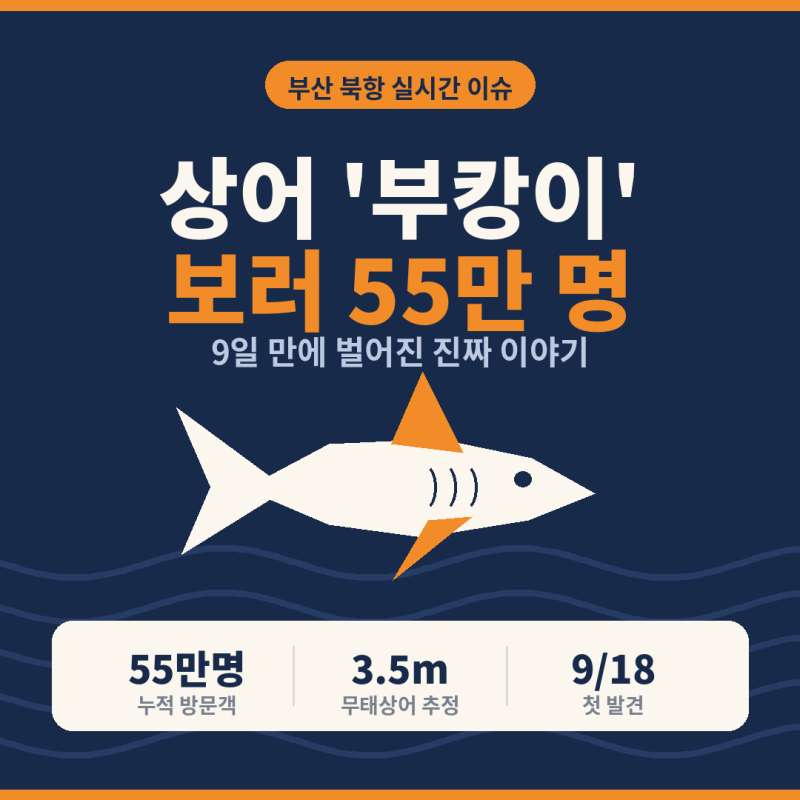 부캉이 뜻과 부산 북항 친수공원 위치, 관람 시간·주의사항 총정리 (9월 28일 기준)
