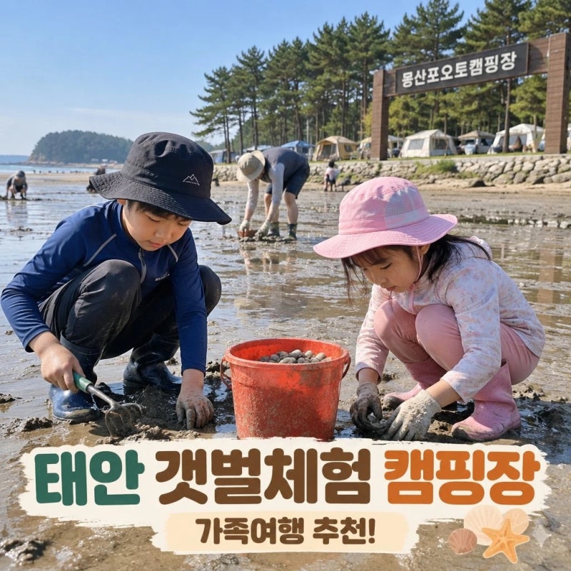 갯벌체험 캠핑장 추천 태안 가족여행 가이드