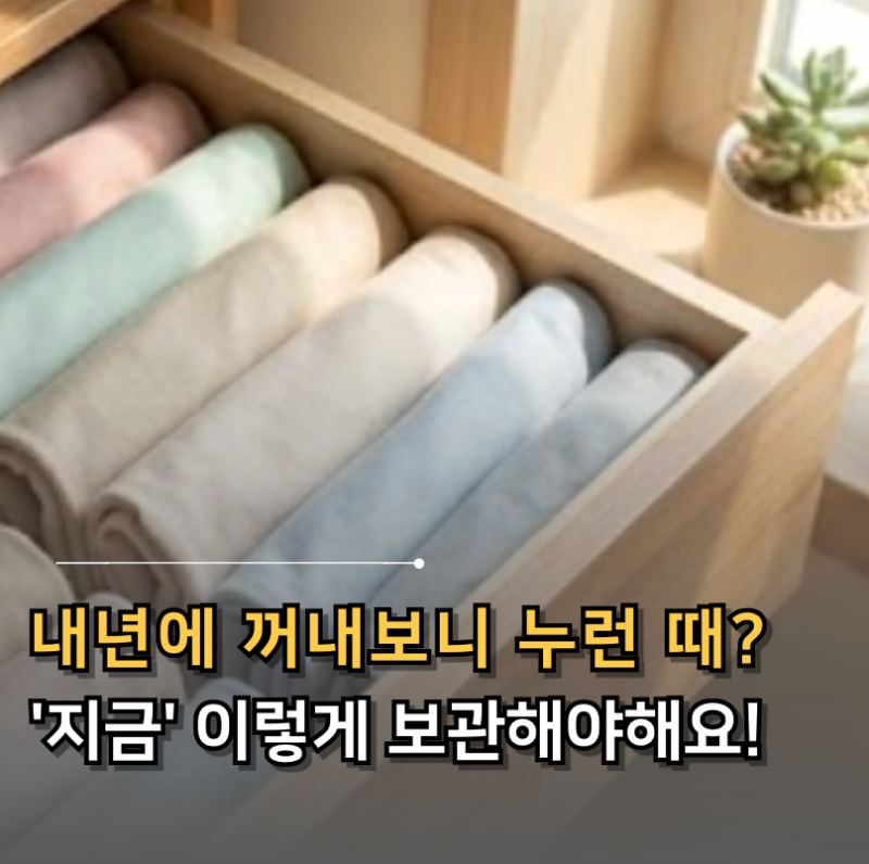 "작년에 넣어둔 옷, 왜 누렇게 변했을까?" 옷감 손상 없이 여름 옷·이불 완벽 정리하는 법