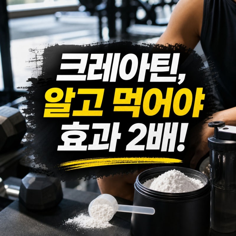 우산동 헬스장에서 알려주는 크레아틴 효과와 올바른 섭취법