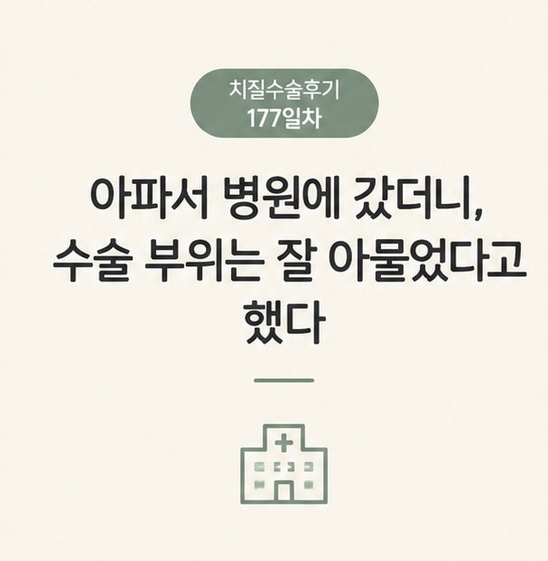 치질 수술 후기 177일차, 아파서 병원에 갔더니, 수술 부위는 잘 아물었다고 했다