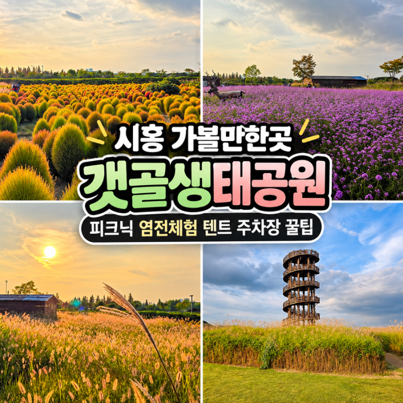 시흥 가볼만한곳 시흥 갯골생태공원 즐길거리 피크닉 염전체험 텐트 주차장 꿀팁