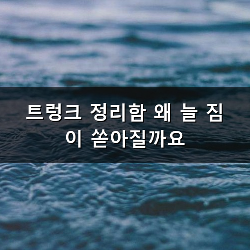 트렁크 정리함 왜 맨날 엉망진창일까? 깔끔하게 짐 싸는 요령