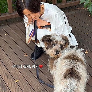 마이큐♥김나영 부부, 결혼 1년 만에 반려견 '토팡가' 입양…두 아들과의 약속 지켰다