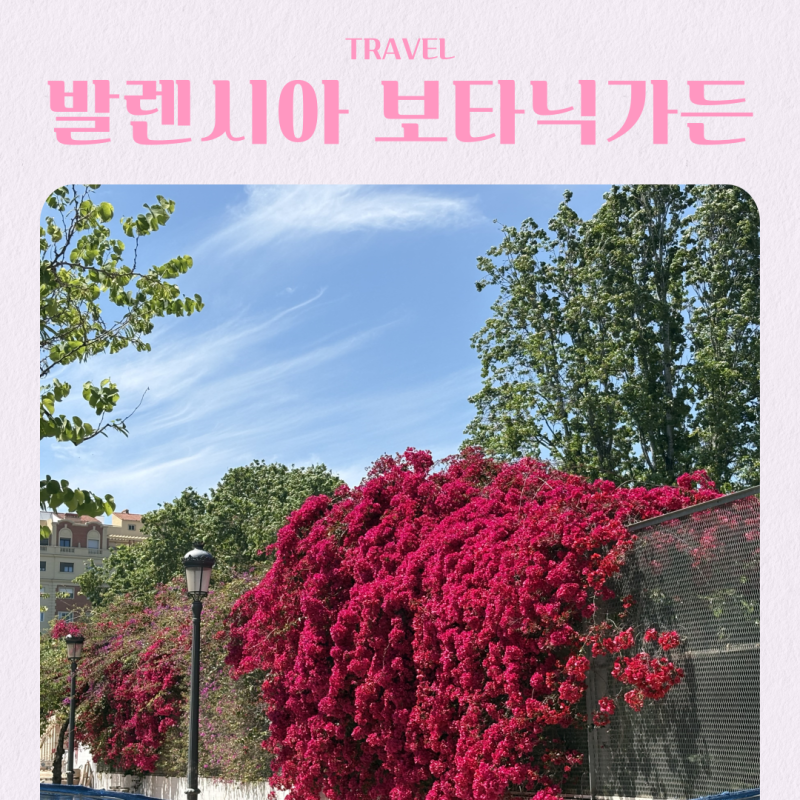 스페인 여행 발렌시아 대학 보타닉 가든 무료입장