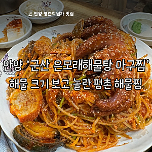평촌학원가 맛집 '군산 은모래해물탕 아구찜 안양평촌점' | 안양 해물찜 맵기 술집 주차 예약....