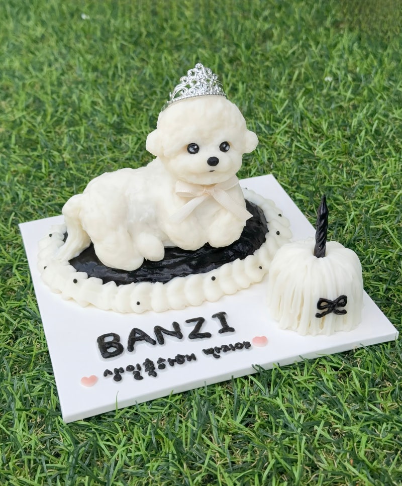 수원강아지케이크 또멍냥에서 주문한 강아지생일케이크 후기