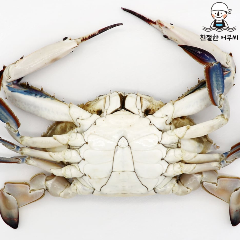 가을 제철 음식 추천 꽃게찜 숫꽃게 1kg 급냉 구성 가격 보는 법