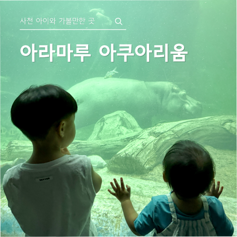 Aramaru Aquarium: A Review of Our Visit to Sacheon with Kids
