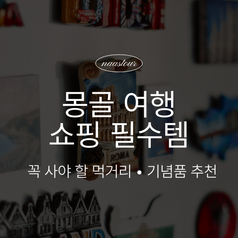 몽골 쇼핑 필수템 총정리 | 꼭 사야 할 먹거리 • 기념품 추천