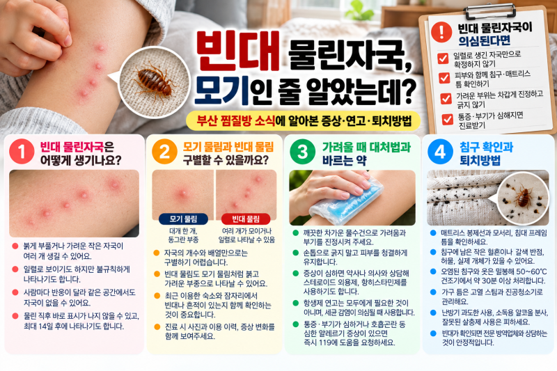 빈대 물린자국, 모기인 줄 알았는데? 부산 찜질방 소식에 알아본 증상·연고·퇴치방법