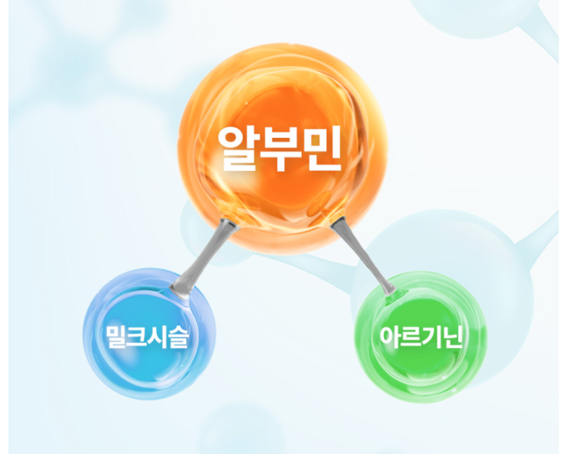 알부민 효능 먹는 제품 정말 피로회복에 도움이 될까?