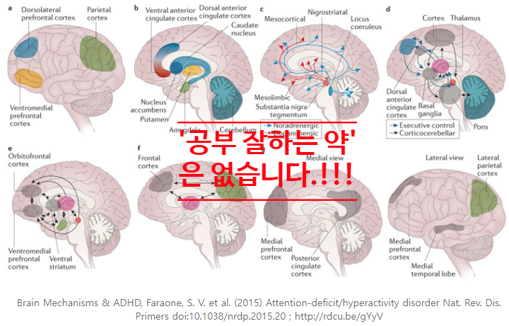 '집중력 높여주는 약', '공부 잘하는 약'은 없습니다.