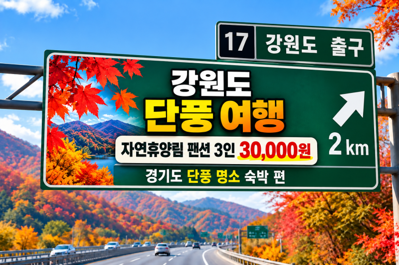 강원도 단풍 여행, 숙박까지 어디가 좋을까?｜자연휴양림 숙박 4인 44,000원? 대관령·용대·방....