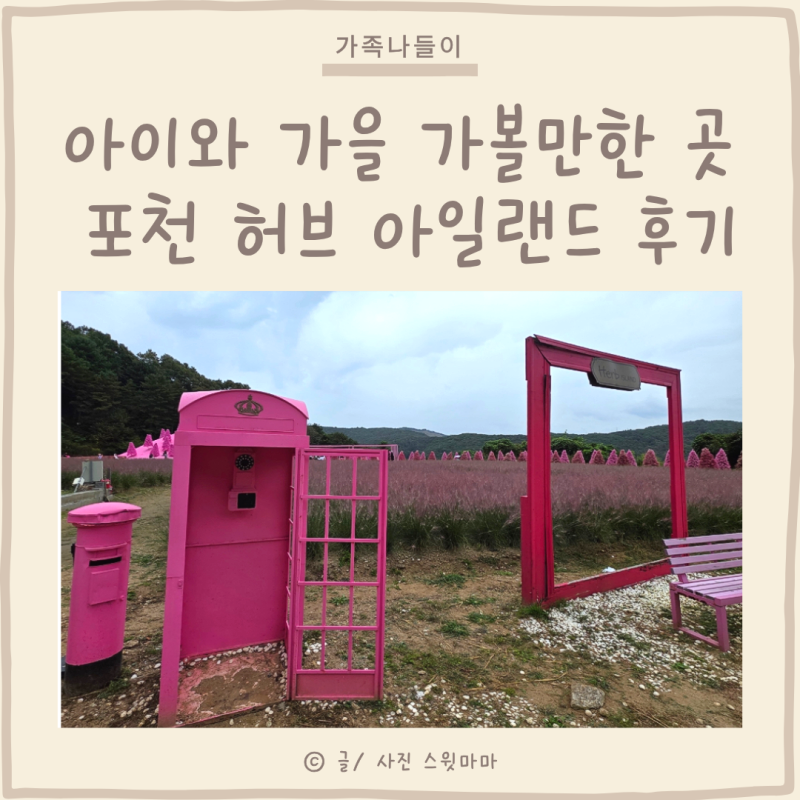 가을 포천 아이와 가볼만한곳 허브아일랜드 핑크뮬리 축제 후기