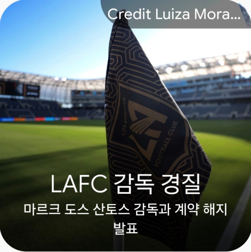 손흥민 소속 LAFC, 도스 산토스 감독 전격 경질 소식 및 현황 분석