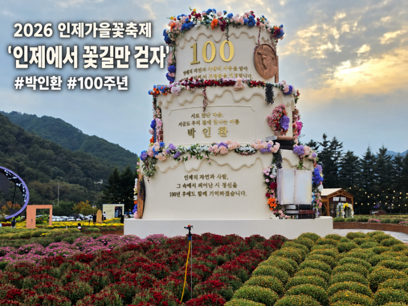 2026년 인제가을꽃축제 총정리｜‘인제에서 꽃길만 걷자' 기간·주차·공연·체험·먹거리 사....