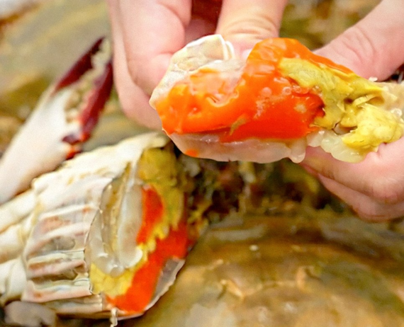 K꽃게 어부가 직접 판매하는 급냉 암꽃게 / 1kg 수율과 특징 살펴보기