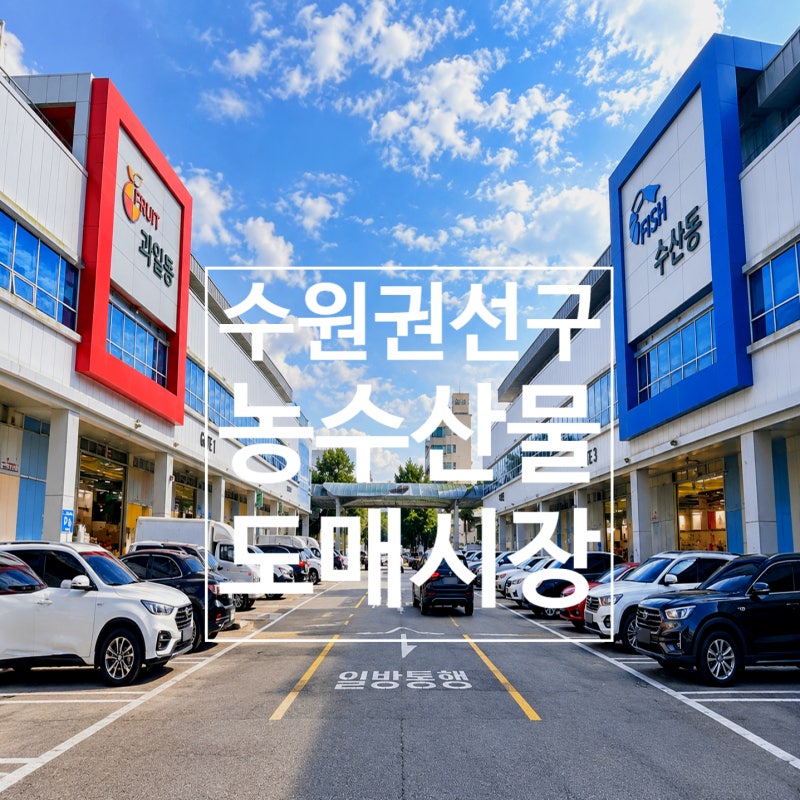 수원 농수산물도매시장 과일 구매 후기 | 주차 휴무일 평일 분위기