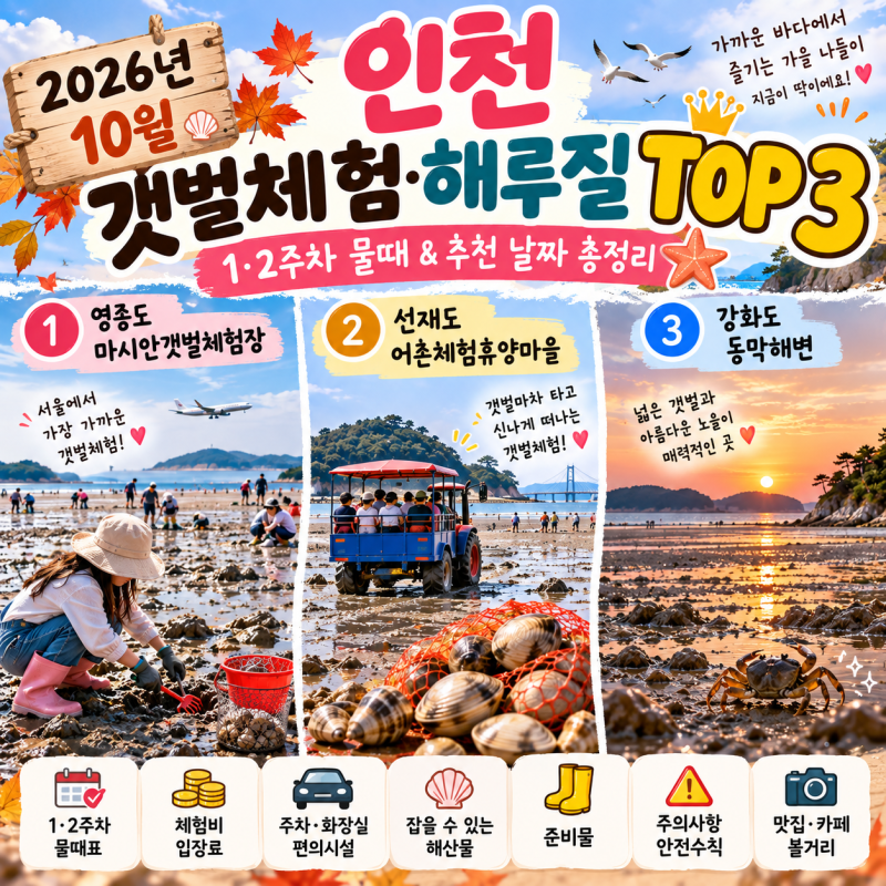 2026년 10월 인천 갯벌체험 물때｜1·2주차 초보자 추천 날짜 총정리