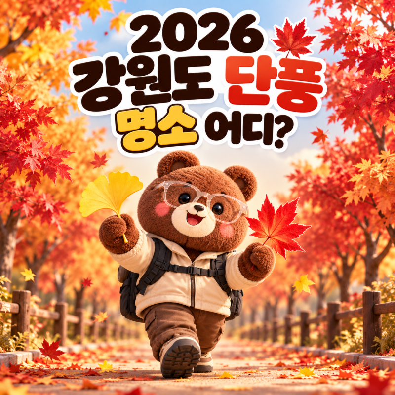 2026 강원도 단풍 명소 어디? 설악산·오대산·치악산 단풍 시기 총정리