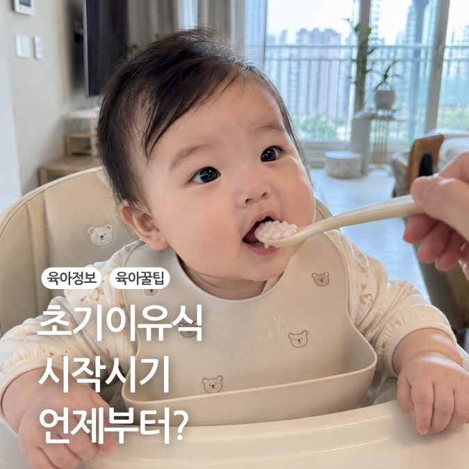 아기 초기 이유식 시기 먹이는 순서와 준비물 총정리
