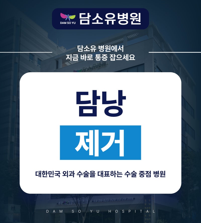 담낭 제거, 쓸개가 없어도 괜찮을까요? 수술 후 달라지는 점 확인하세요