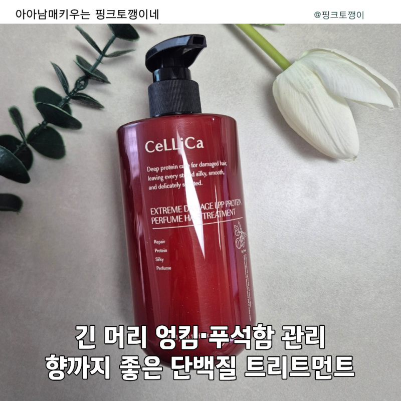 환절기트리트먼트 셀리카 LPP 퍼퓸트리트먼트 추천｜긴머리 부드럽게 홈케어