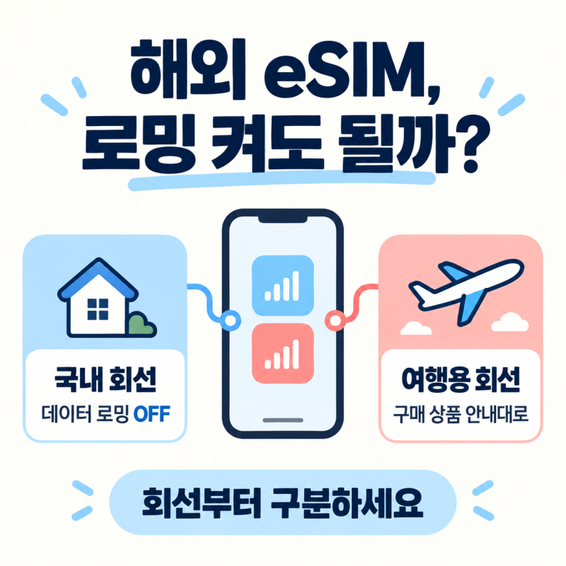 해외 eSIM 쓰는데 데이터 로밍 켜도 될까? 아이폰 회선별 설정