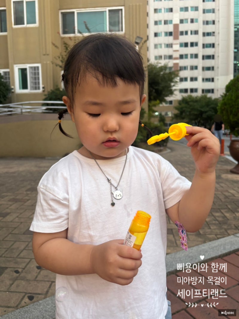 내 돈 내산 가성비 미아방지 목걸이, 세이프티랜드