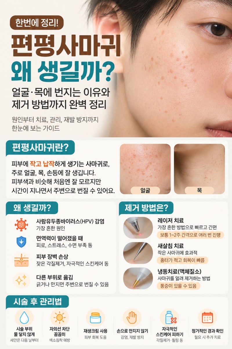 편평사마귀 제거 후 재발할까? 다시 생기는 이유와 관리 방법 정리
