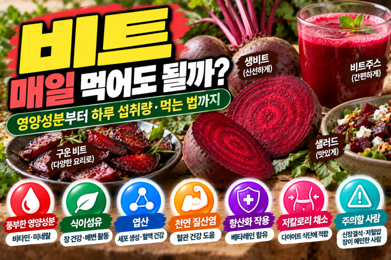 비트 매일 먹어도 될까?｜영양성분부터 하루 섭취량·먹는 법까지