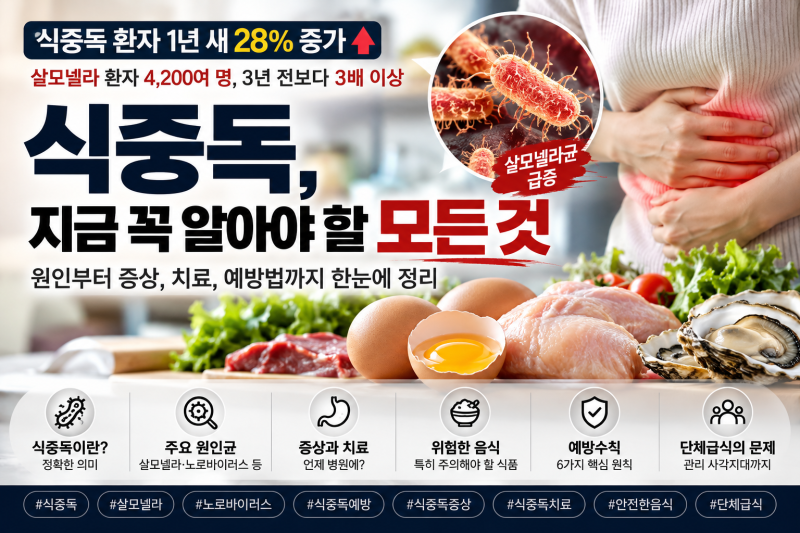 식중독 환자 1년 새 28% 증가｜살모넬라 급증 원인부터 증상·치료·주의 음식·예방법 총정리