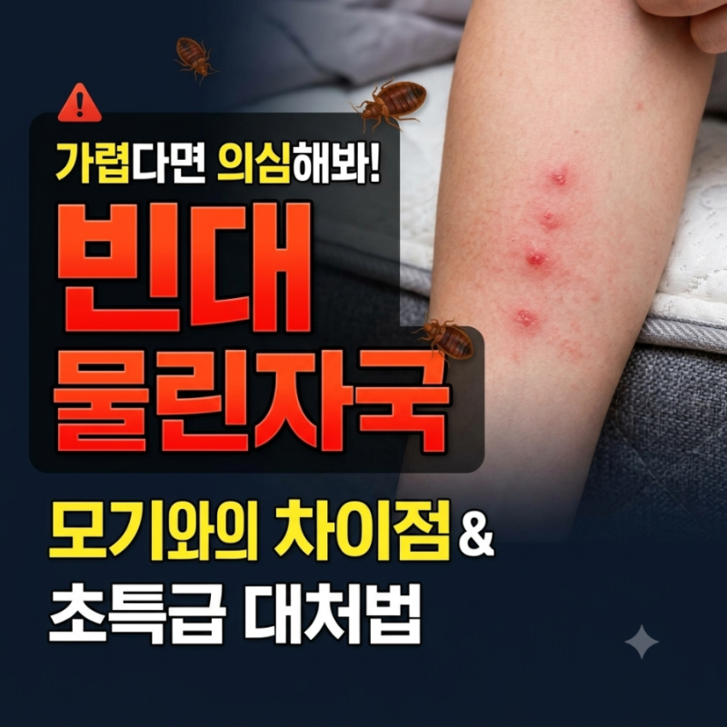 빈대 물린자국 총정리: 모기와의 차이부터 대처법까지
