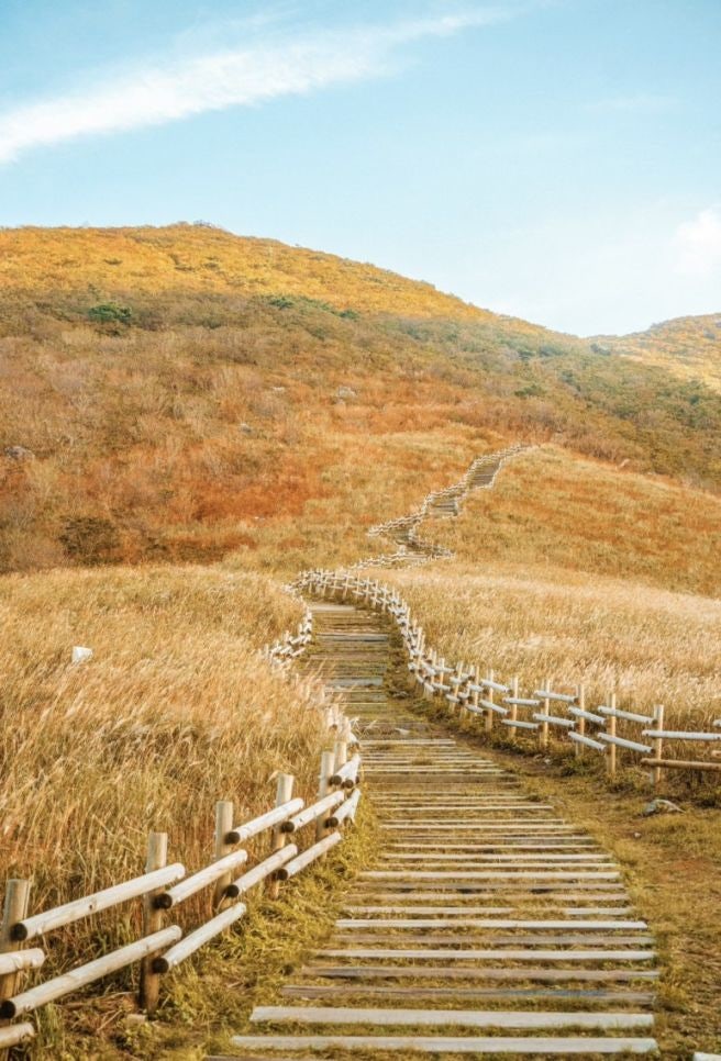 "가을엔 무조건 여기!" 울산 간월재 억새평원 초보 등산 코스: 배내2공영주차장 만차 피하는 ....