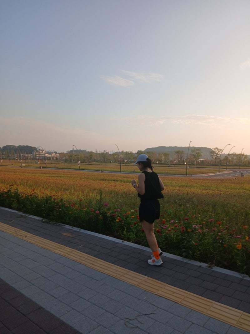 오운완 러닝일기, 뉴발 아디다스 런닝화 데카트론 러닝벨트 나이키모자
