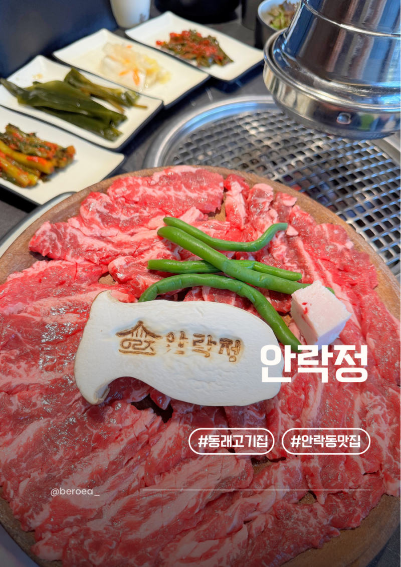 부산안락동맛집 숯불안락정 소갈비살 맛있는 부산 동래 맛집