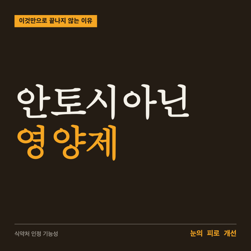 안토시아닌 영양제, 눈 관리가 이것만으로 끝나지 않는 이유