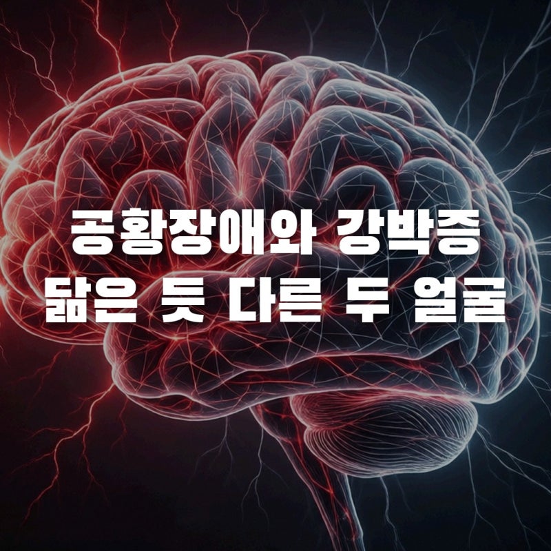 공황장애 강박증 차이, 왜 같이 올까? 뇌 신경전달물질의 경고
