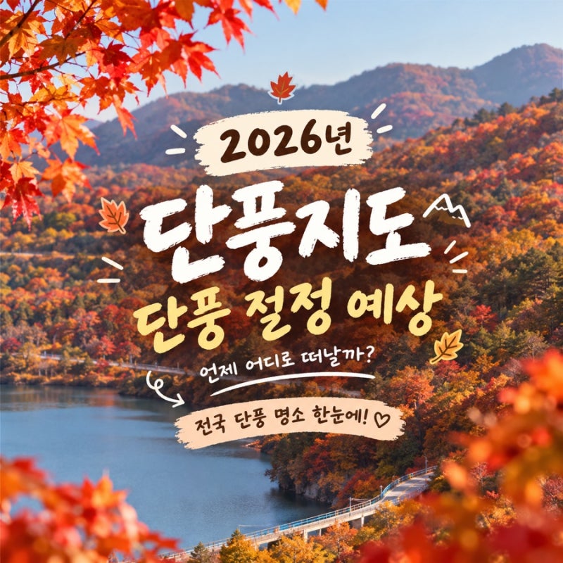 2026 단풍 절정시기 총정리｜올해 단풍은 언제 가장 예쁠까? 전국 단풍지도