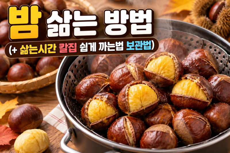 밤 삶는 방법 (+ 삶는시간 칼집 쉽게 까는법 보관법)