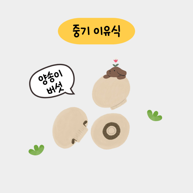 중기 이유식 | 양송이버섯 큐브 만들기